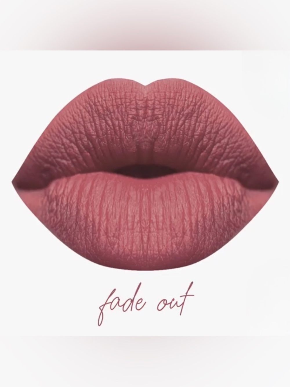 NIB Karity The Mattes Liquid Lipstick - Fade Out